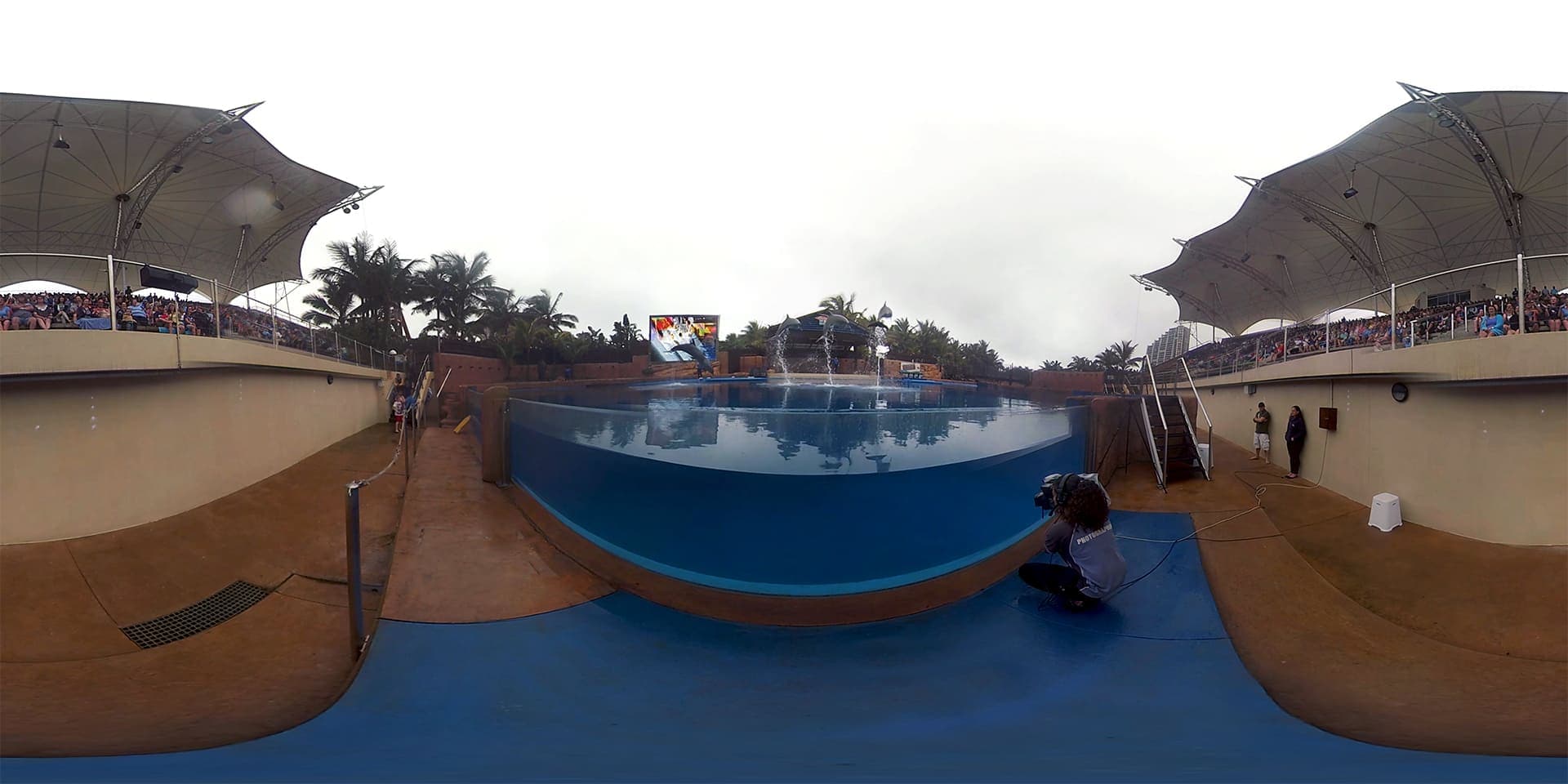 Dolphin Show Stadium Filming